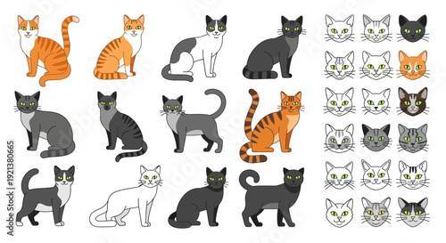 Diverse Collection of Domestic Cat Breeds and Their Faces in Vector Art