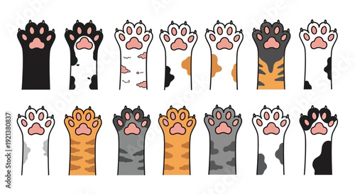 Collection of Cute Cat Paws in Various Colors and Patterns