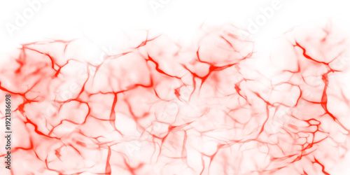 Red organic vector texture background with blood vessel patterns, muscular fibers, and anatomical capillary network for healthcare and creative art
