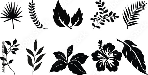 ropical leaves, palm leaves silhouettes, diverse collection, black shapes, design elements, artistic embellishments, leaf vector.