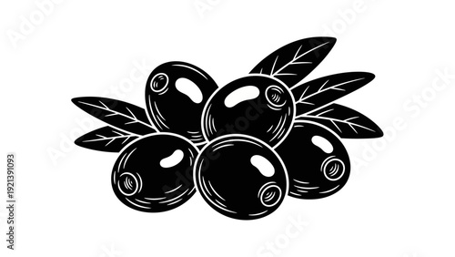 Black Olives with Leaves Illustration.