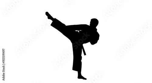 Martial Artist Performing Kick Technique.