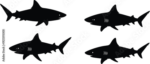 Black shark silhouettes on white background fish ocean
