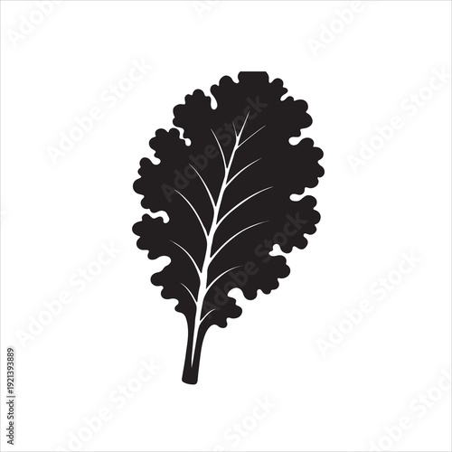 A kale leaf silhouette vector style