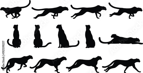 Set of black cheetah silhouettes featuring various poses including running, sprinting, sitting, stalking, and lying down isolated on white background.