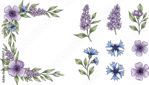 Violet floral frame and individual flowers corner border for design projects transparent background