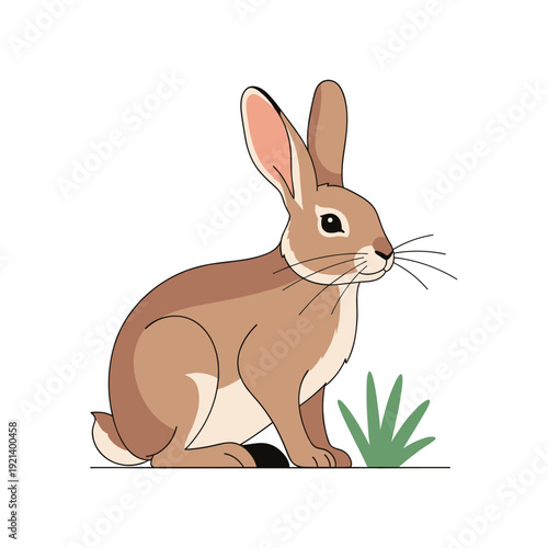 Cute brown and white rabbit sitting calmly in a patch of green grass against a plain white background illustration.