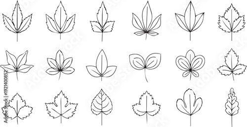 Blue light effect gradient border with white background