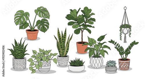 Collection of Various Potted Houseplants.