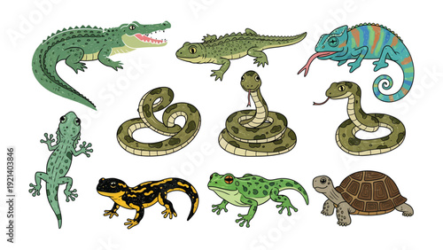 Reptile Variety: An artistic illustration showcasing a vibrant collection of diverse reptiles and amphibians. The image captures the unique features and characteristics of each creature.