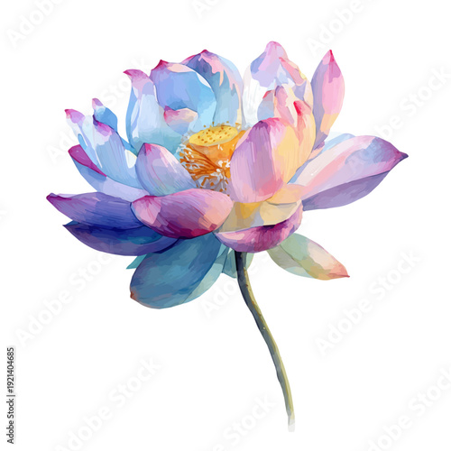 Lotus Flower, watercolor drawing vector, isolated on a white background.