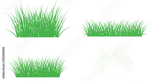 Green grass bushes collection isolated natural lawn plants decorative vector illustration set