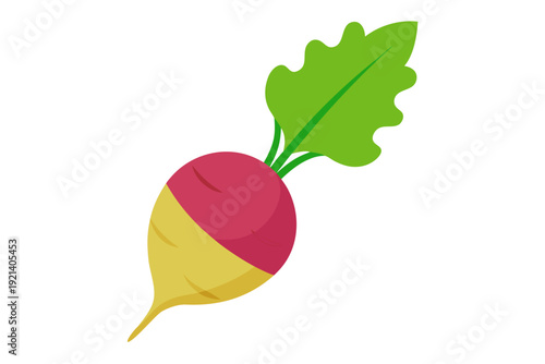 A colorful illustration of a radish with a green leaf on a white background