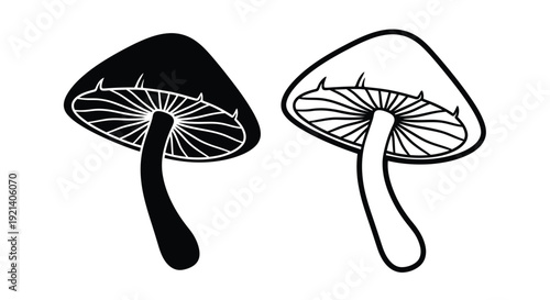 Two black and white illustrations of mushrooms with detailed gills