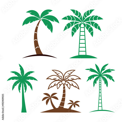 Palm tree illustration