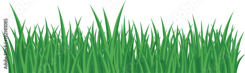 Seamless green grass border natural lawn meadow summer landscape decorative vector illustration