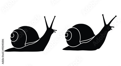 Two black snails crawl forward a striking graphic silhouette