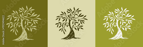 Hand draw abstract Olive tree. Organic nature symbol. Tree branch with leaves signs. Natural plant design elements emblems in vintage style. Vector