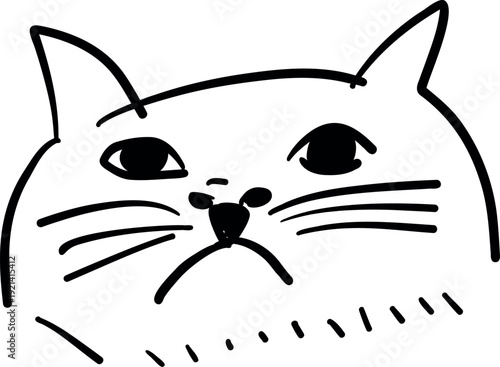 Sad hand drawn cat face, disappointed unhappy feline character doodle isolated on white background