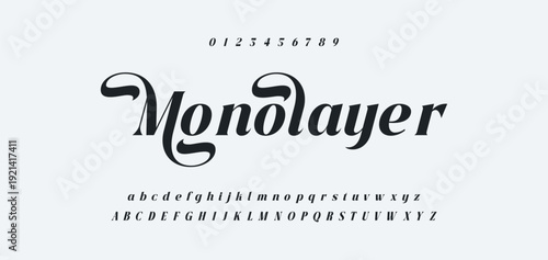 Elegance Luxury wedding alphabet font. Typography elegant classic lettering serif fonts decorative vintage retro for logo. vector illustration