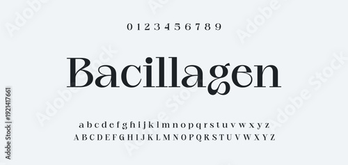 Elegance Luxury wedding alphabet font. Typography elegant classic lettering serif fonts decorative vintage retro for logo. vector illustration
