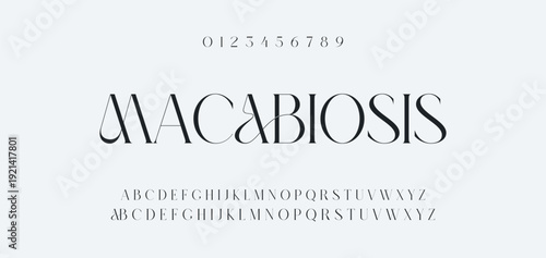 Elegance Luxury wedding alphabet font. Typography elegant classic lettering serif fonts decorative vintage retro for logo. vector illustration