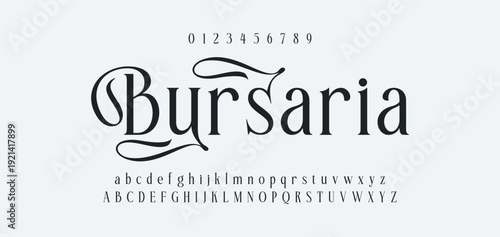 Elegance Luxury wedding alphabet font. Typography elegant classic lettering serif fonts decorative vintage retro for logo. vector illustration