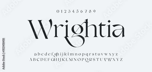 Elegance Luxury wedding alphabet font. Typography elegant classic lettering serif fonts decorative vintage retro for logo. vector illustration