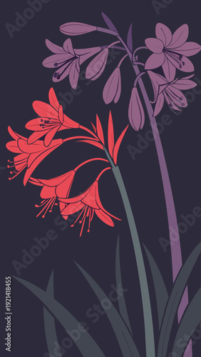 Vibrant red and purple flowers bloom against a dark mysterious background creating a striking botanical illustration.