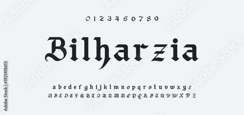 Elegance Luxury wedding alphabet font. Typography elegant classic lettering serif fonts decorative vintage retro for logo. vector illustration