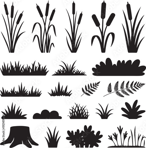 Set of shoots of reeds, reeds and coastal grass. Ferns and rotten stumps. Swamp landscape. View of the river bank. Silhouette picture. Isolated on white background. Vector