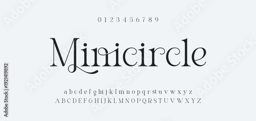 Elegance Luxury wedding alphabet font. Typography elegant classic lettering serif fonts decorative vintage retro for logo. vector illustration