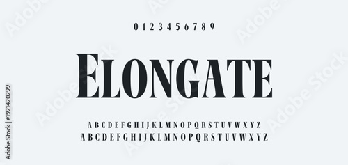 Elegance Luxury wedding alphabet font. Typography elegant classic lettering serif fonts decorative vintage retro for logo. vector illustration