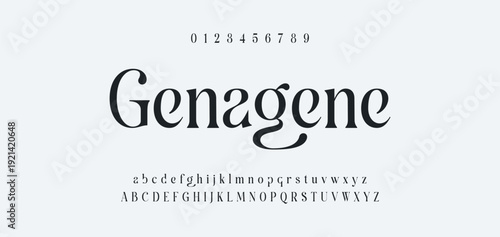 Elegance Luxury wedding alphabet font. Typography elegant classic lettering serif fonts decorative vintage retro for logo. vector illustration