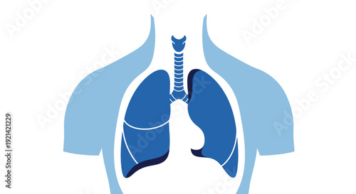Human Respiratory System Lungs and Trachea Minimalist Vector Illustration