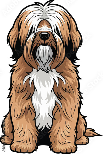 Tibetan Terrier Dog sitting alert upright attentive facing front