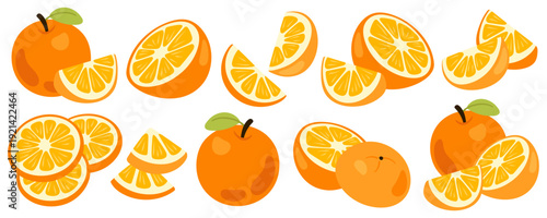 Collection of Fresh Orange Fruit vectors, whole, halved, and sliced pieces