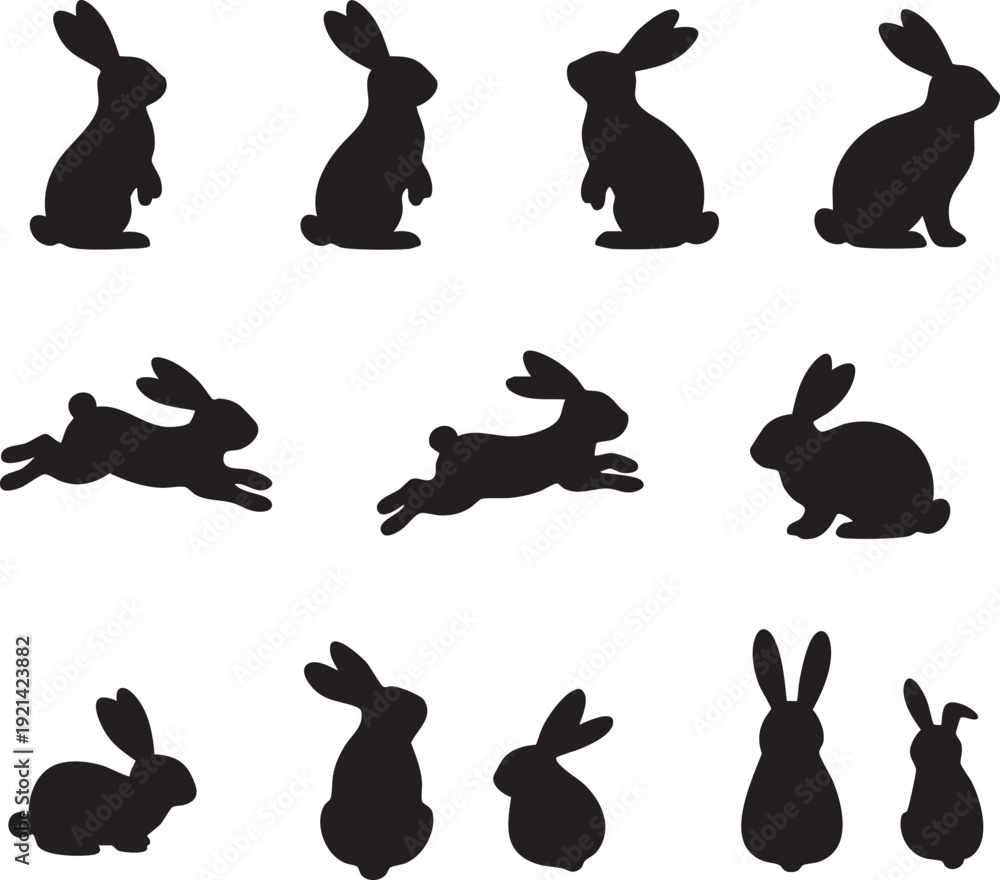 Fototapeta premium Cute Rabbit Vector Illustration Isolated on White Background