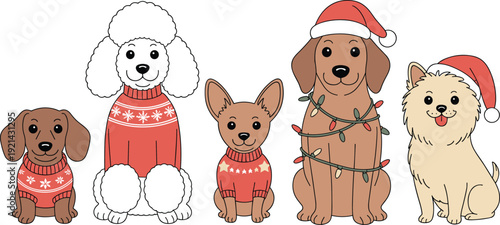 Cute cartoon Christmas dogs vector set holiday sweaters different breeds flat illustration adorable pets