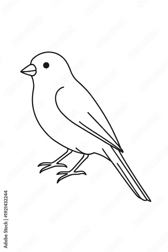 Obraz premium bird sketch sitting on a branch vector illustration