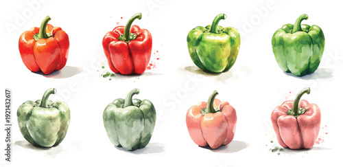Mine Watercolor, hand-painted fresh bell pepper painting illustration, vector illustration, painting design, and EPS format design. vector illustration, isolated on a white background