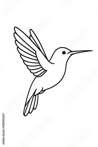 White dove of peace flying in the sky vector illustration
