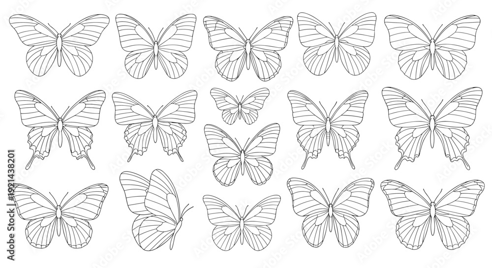 Fototapeta premium Collection of various hand-drawn butterfly sketches in line art style for decorative use and artistic design projects.