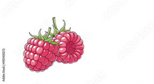 Detailed botanical illustration of two ripe raspberries with green leaves on a clean white background for food design.