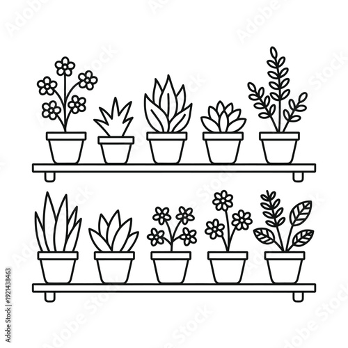 Line art illustration of potted plants arranged on two shelves