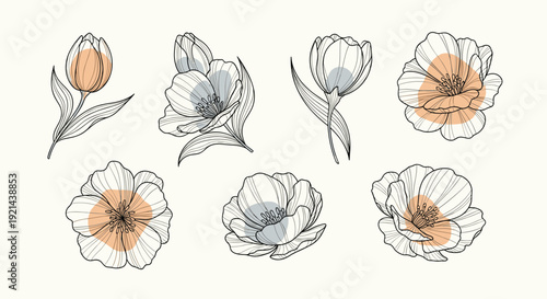 Set of detailed hand-drawn floral sketches paired with abstract color spots in a modern minimalist botanical style.