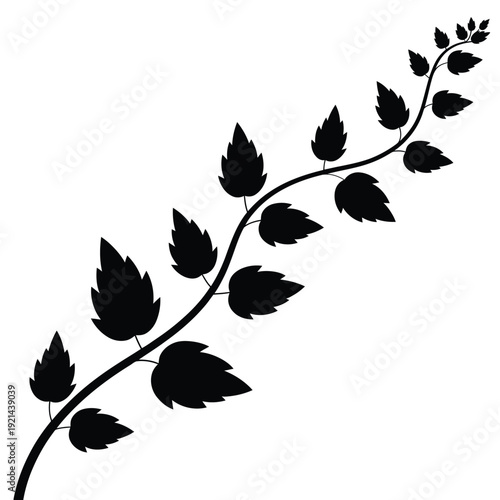 Elegant black silhouette of a curving branch with dense foliage