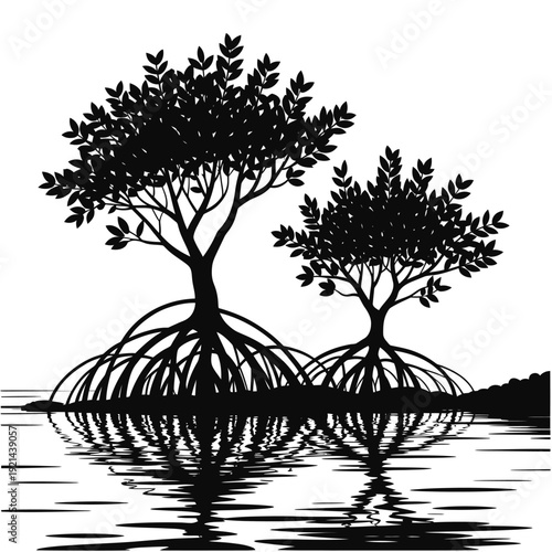 Silhouetted mangrove trees reflected in calm water create a peaceful scene