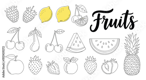 Comprehensive set of hand-drawn fruit icons including berries, citrus, and melons for organic product branding labels.