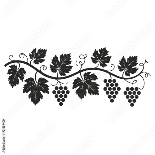 Black silhouette of a grapevine with leaves and bunches of grapes